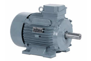 Squirrel Cage Induction Motor: Prinsipyo ng Paggawa, Mga Uri, Mga Bentahe, at Mga Aplikasyon